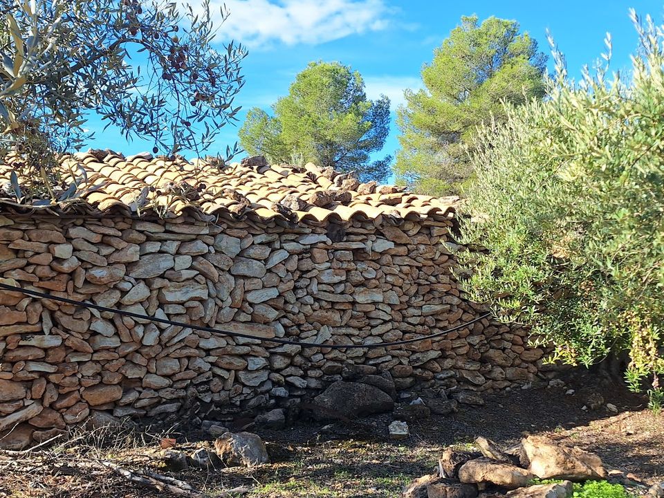 Finca i Tivissa, Tarragona - bilde 3